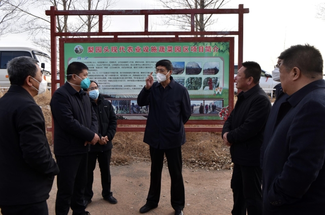 田东在朔城区调研设施农业建设情况